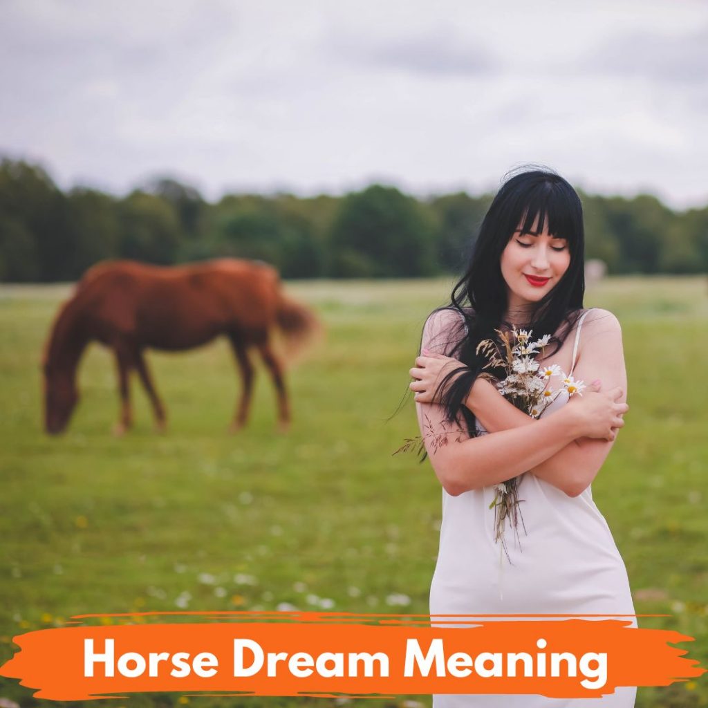 Horse Dream Meaning