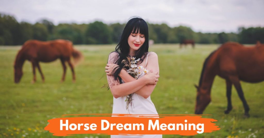 31 Types Of Horse Dream Meaning National Equine