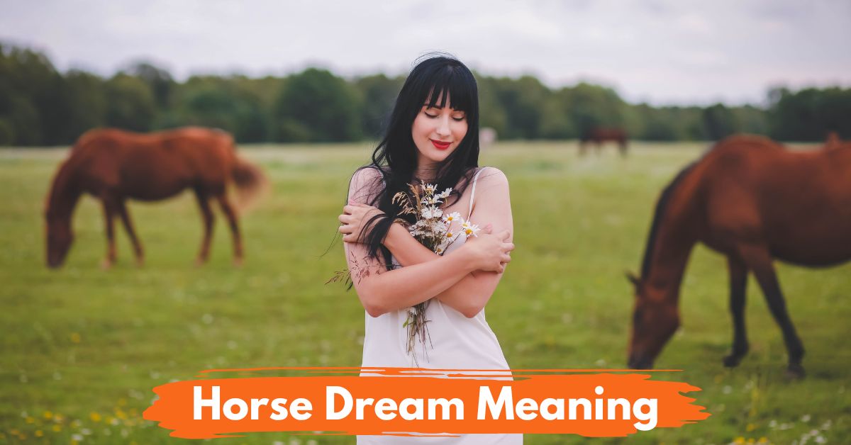 Horse Dream Meaning Social
