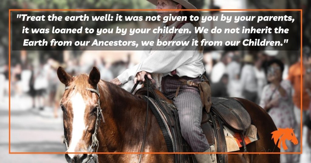 158 Best Horse Quotes In 2022 National Equine