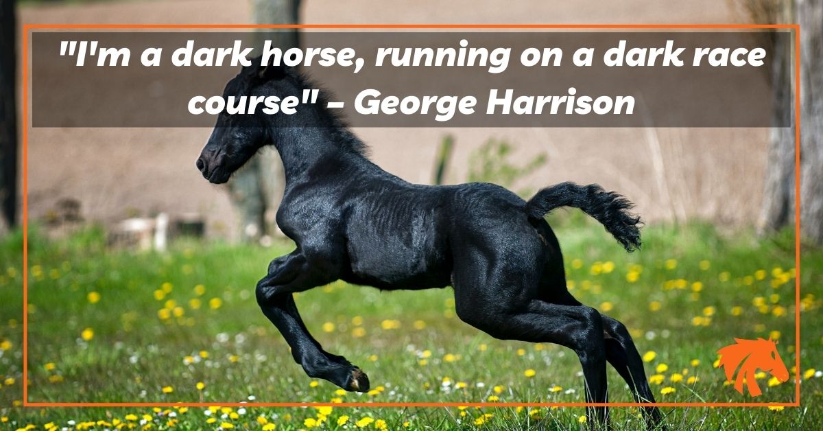 Dark Horse Quotes