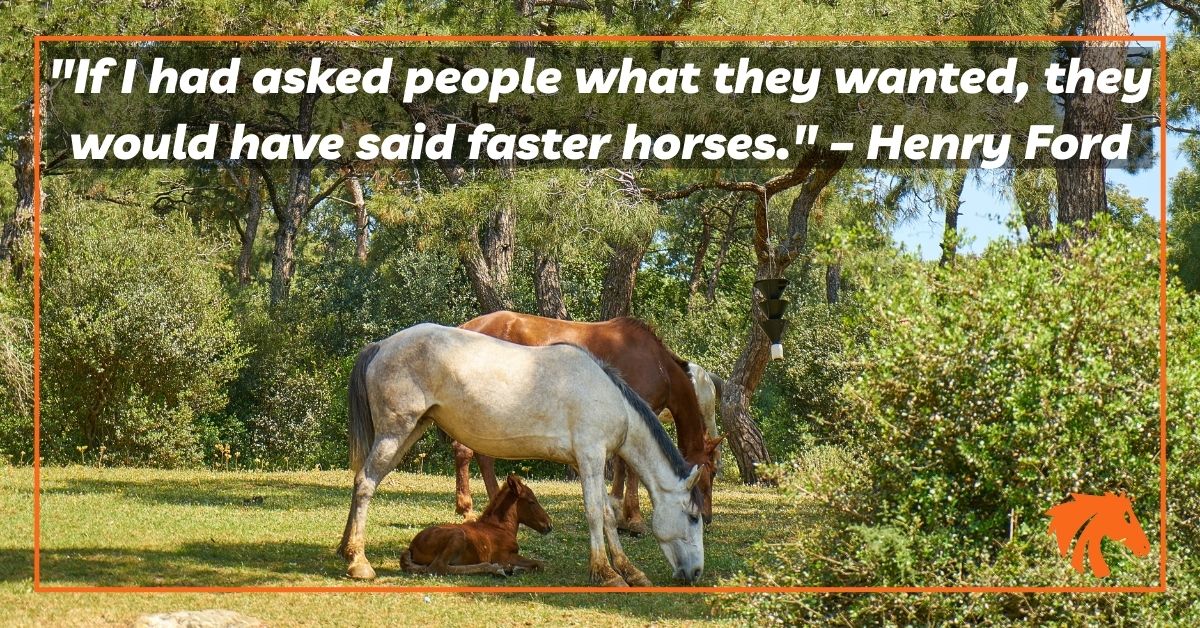 Henry Fords Faster Horse Quotes