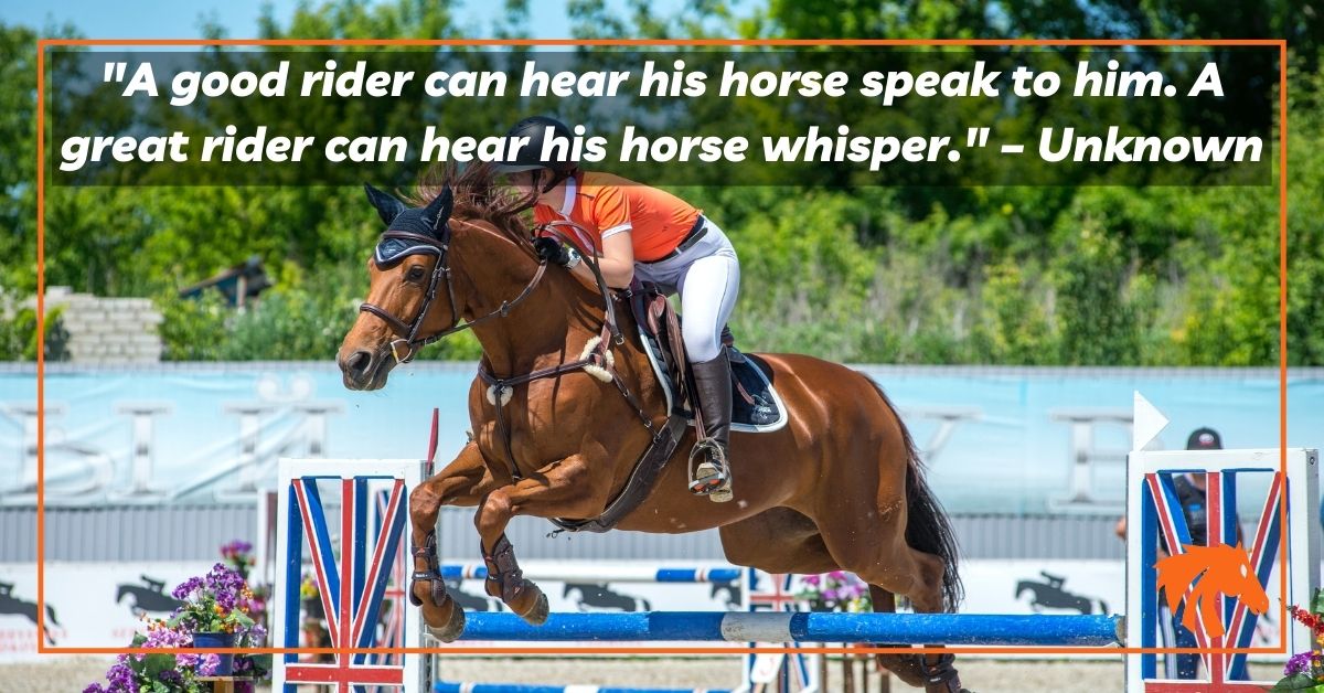 Quotes About Horse Racing