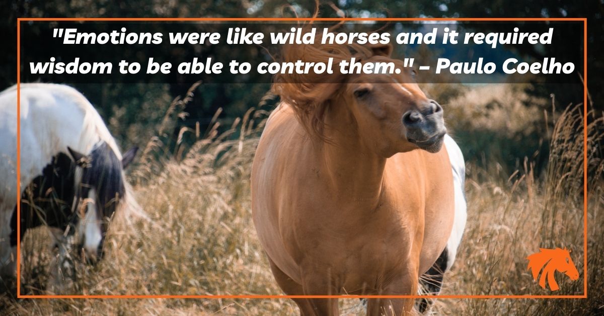 Wild Horse Quotes