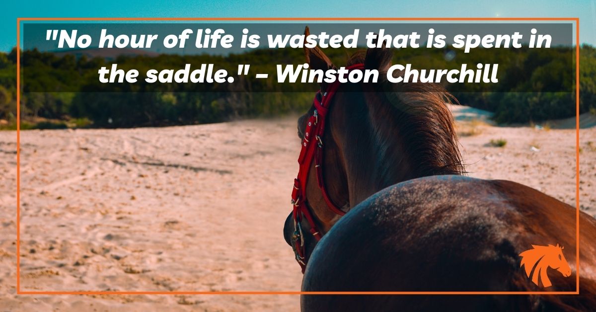 Winston Churchill Horse Quotes