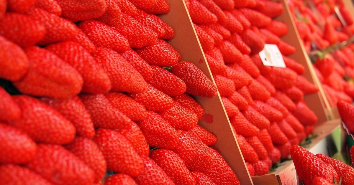 Bunch of Strawberries