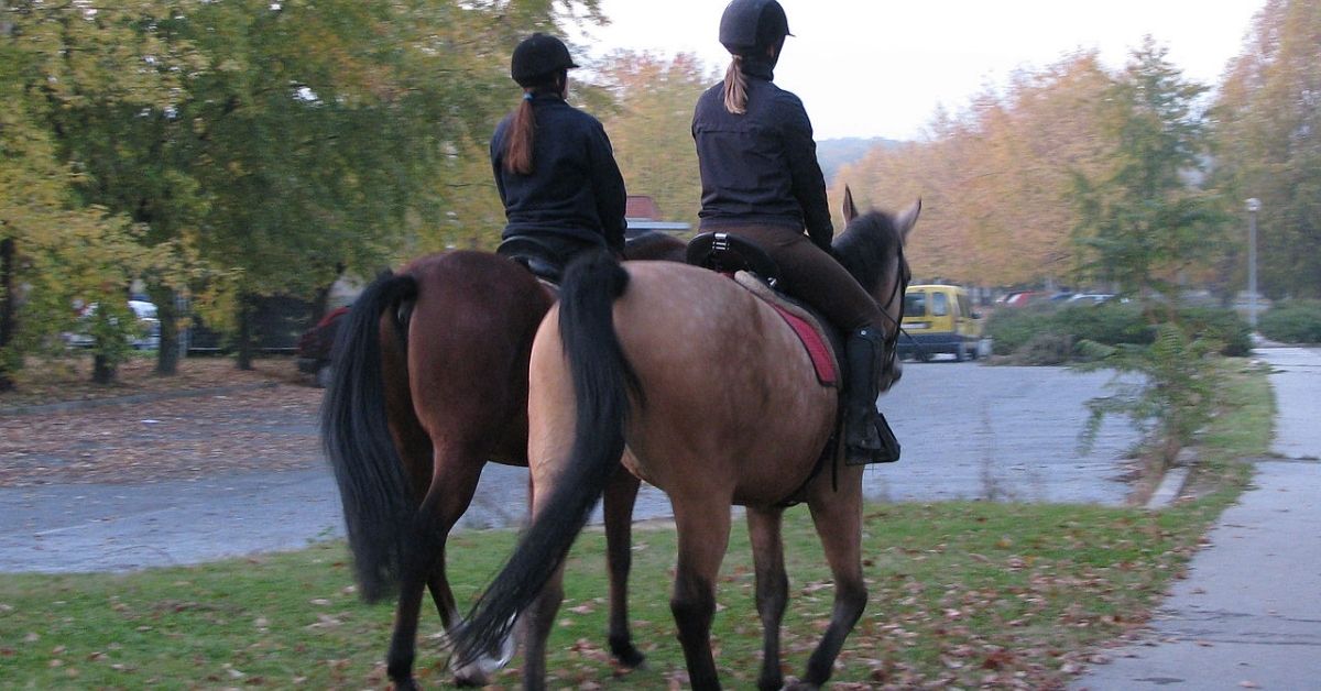2 girls are riding buckskin horse