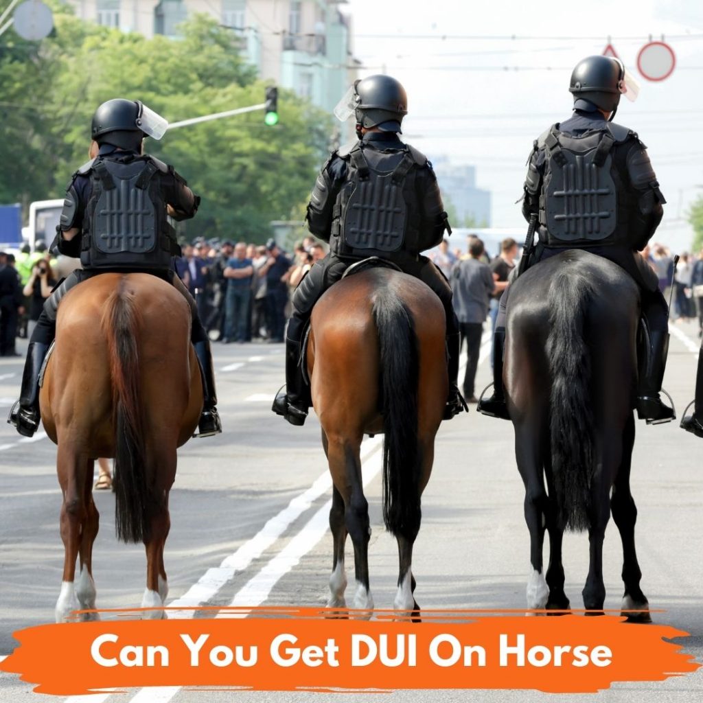 Can You Get DUI On Horse
