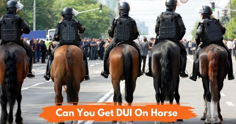 can you get dui on a bike