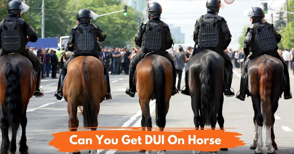 Can You Get DUI On Horse social