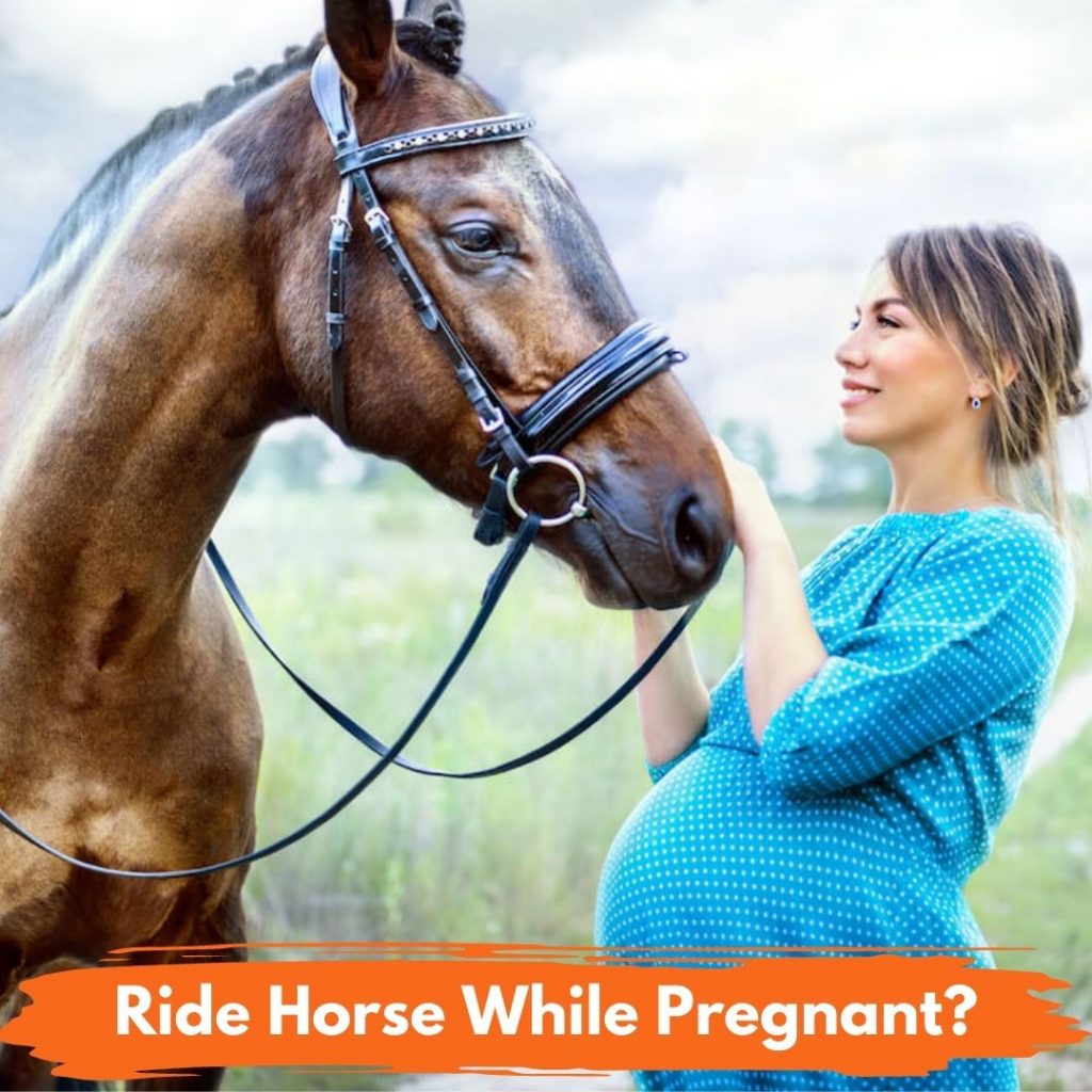 Ride A Horse While Pregnant