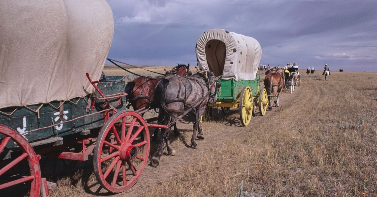 Troop Of Horses