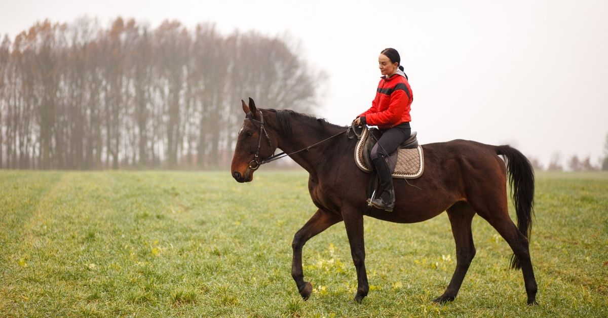 a brunette woman riding a horse