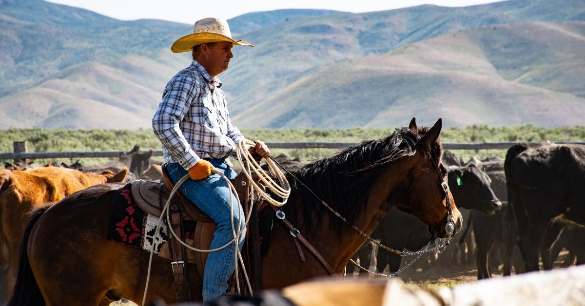 a person riding horse