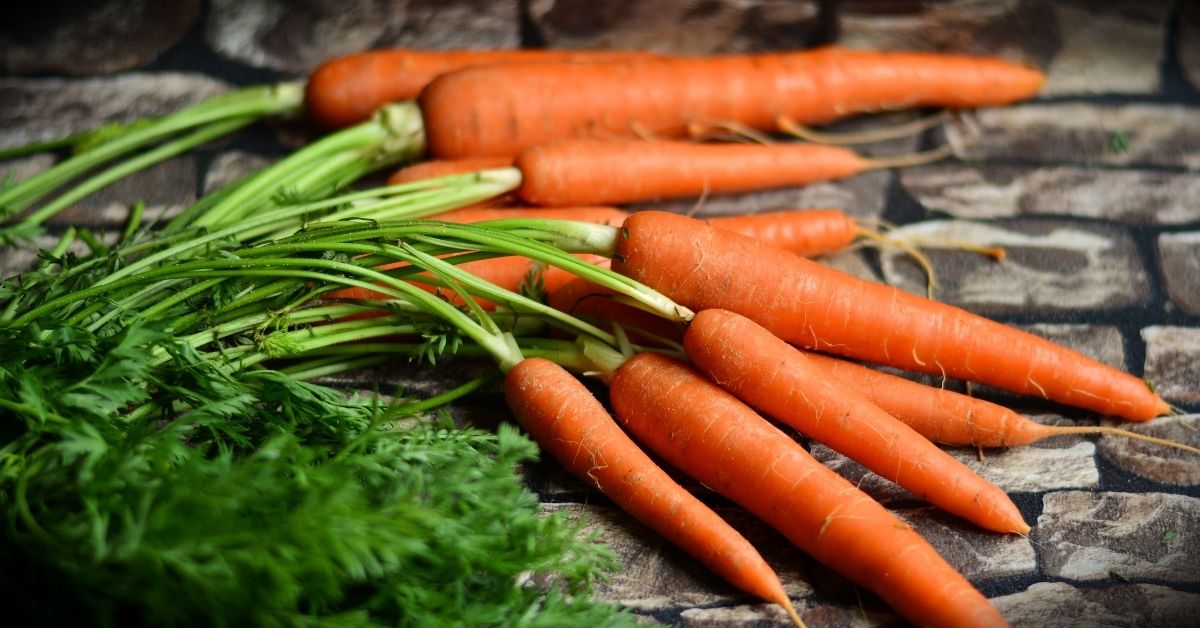 bunch of carrots