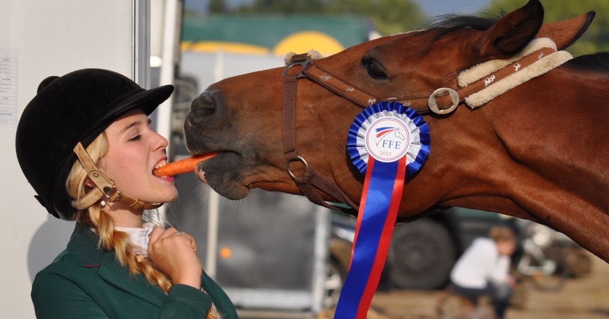 girl is feeding horse carrot