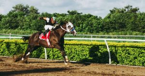 How Much Weight Can A Horse Carry? - National Equine