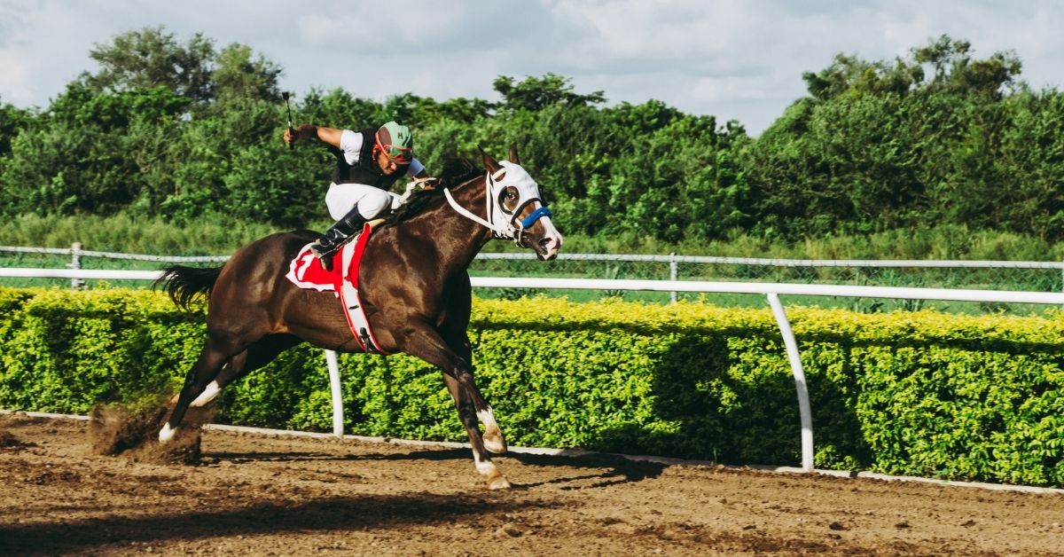 man riding horse