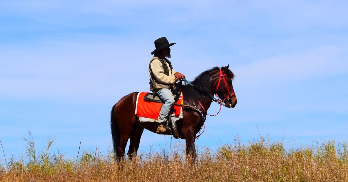 man riding on brown horse