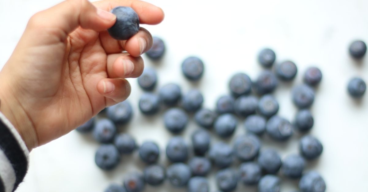 person holding blueberry