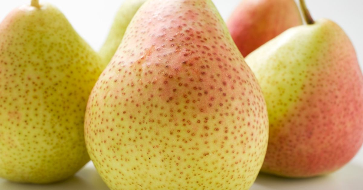 several forelle pears