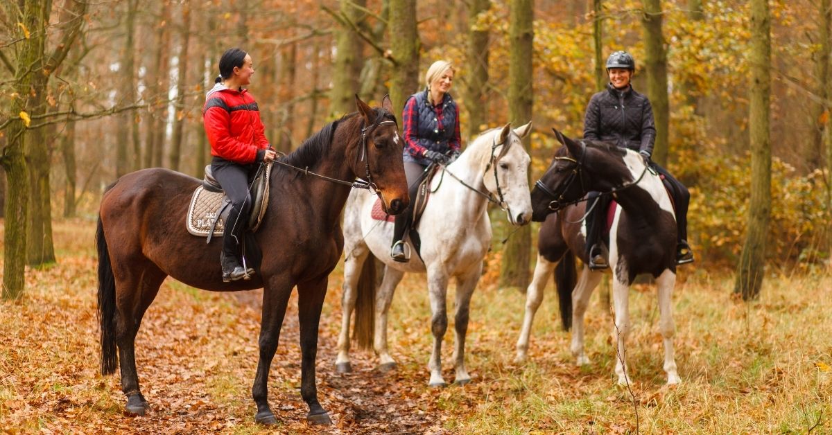 three female friends riding a horse