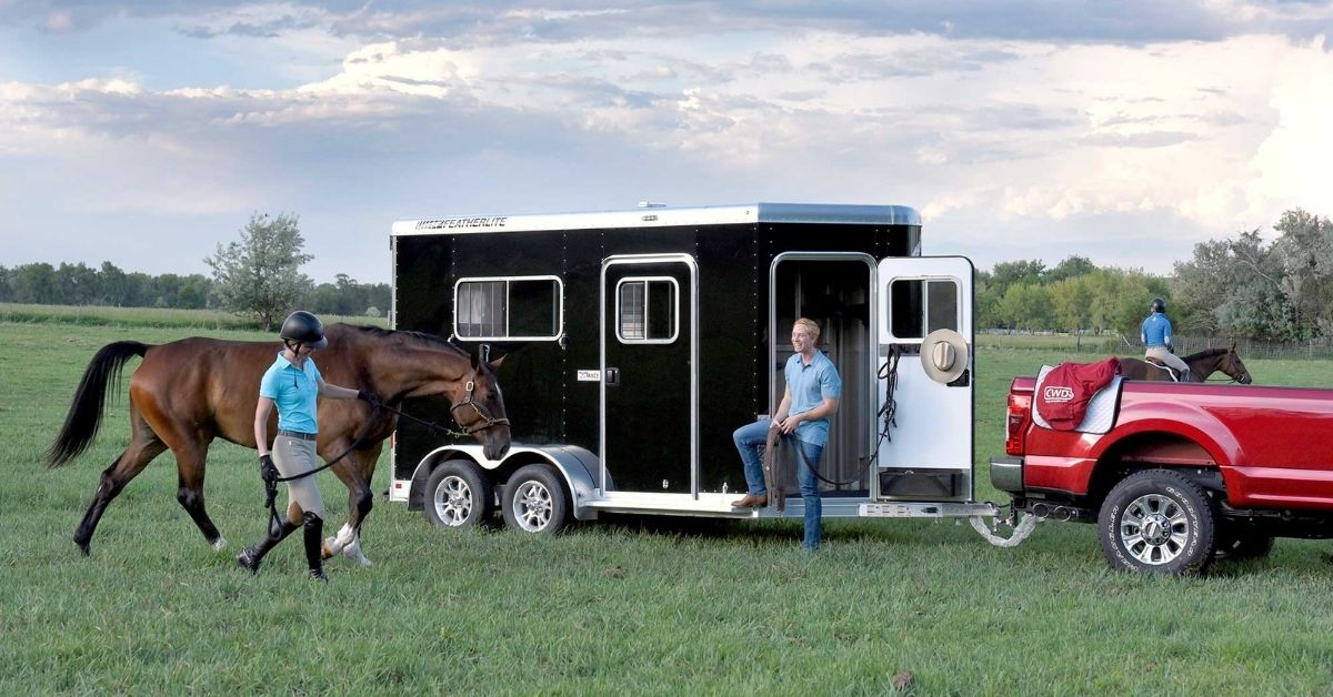 Bumper Pull Horse Trailers on a field of grass