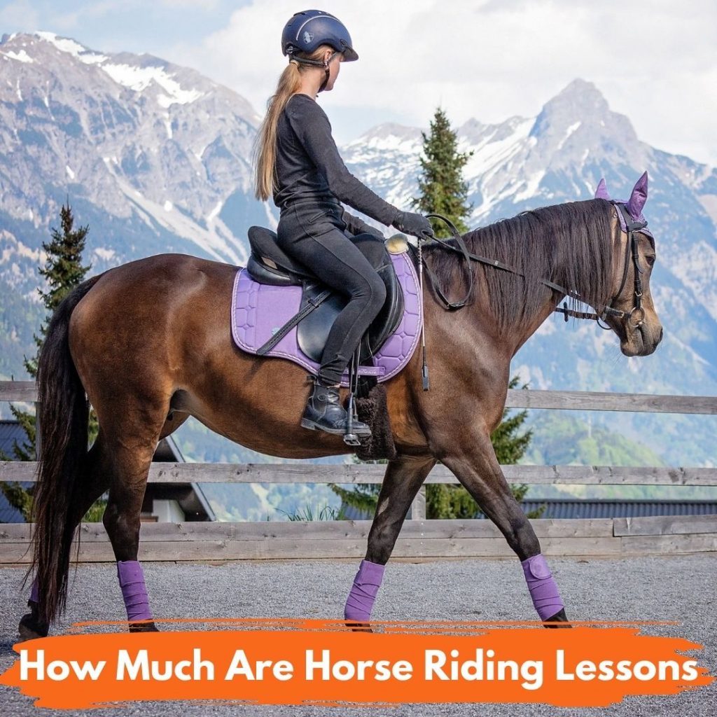 How Much Are Horse Riding Lessons