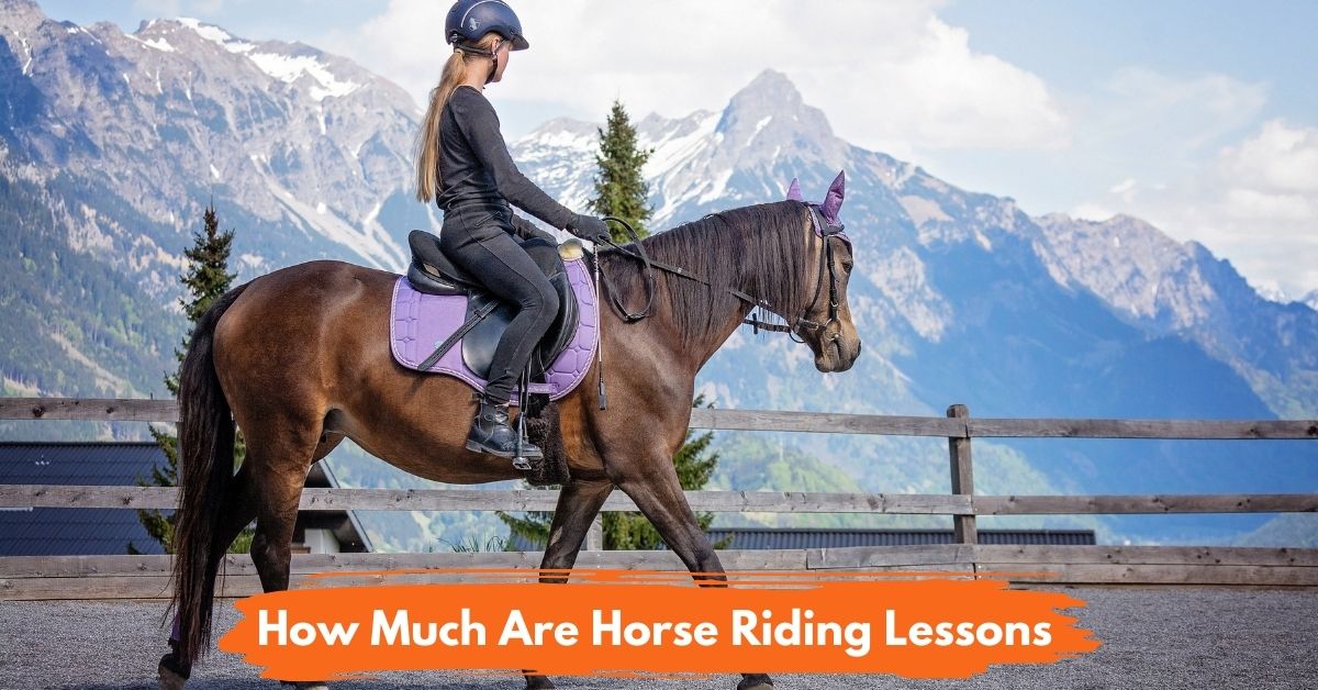 How Much Are Horse Riding Lessons Social