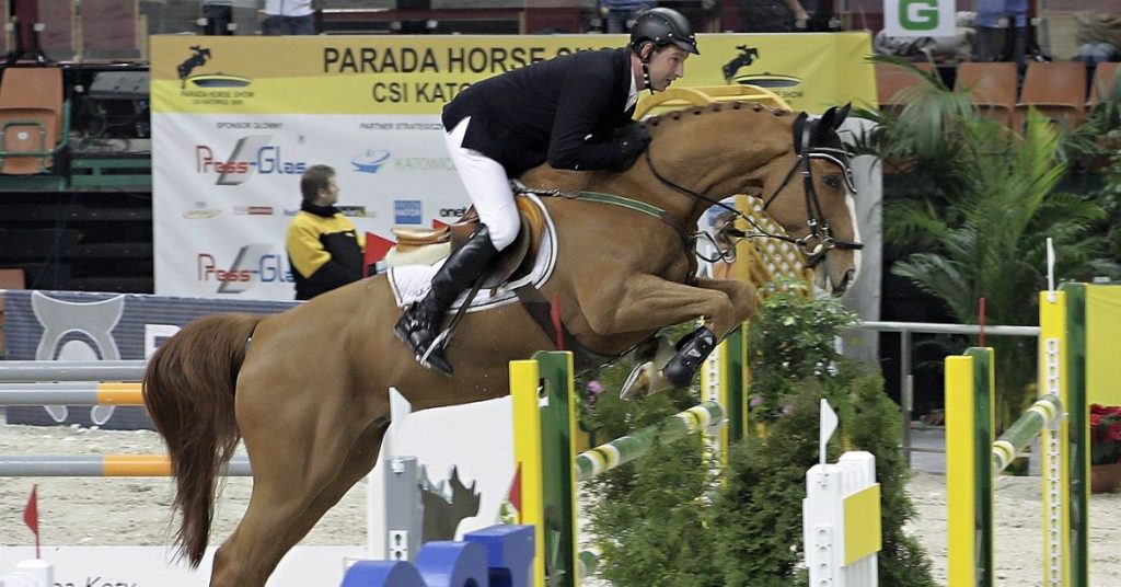 How High Can A Horse Jump? National Equine