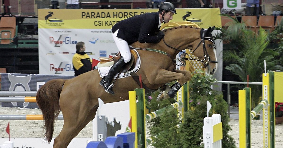 Optiebeurs Golo and his rider Franke Sloothaak