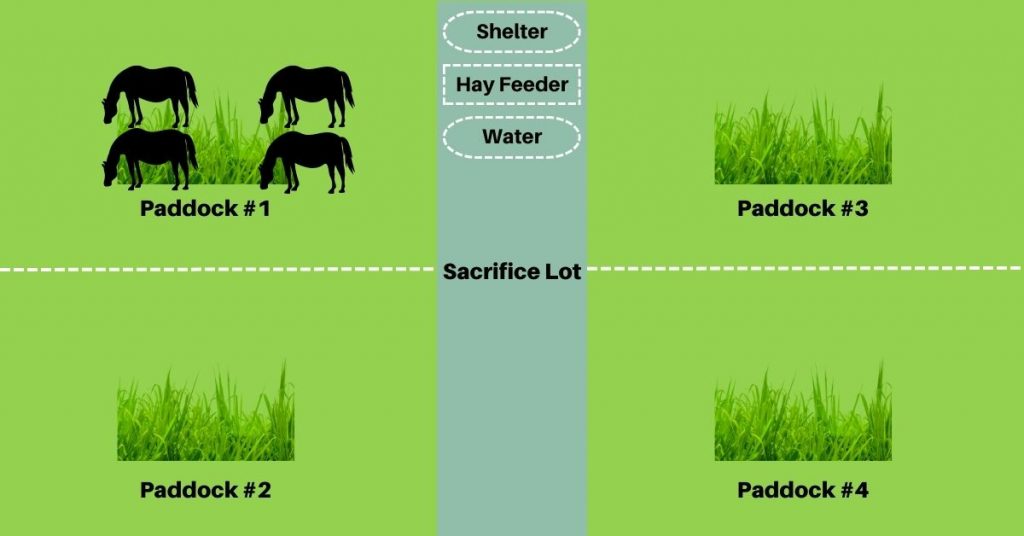 How Many Acres Do You Need For A Horse? National Equine