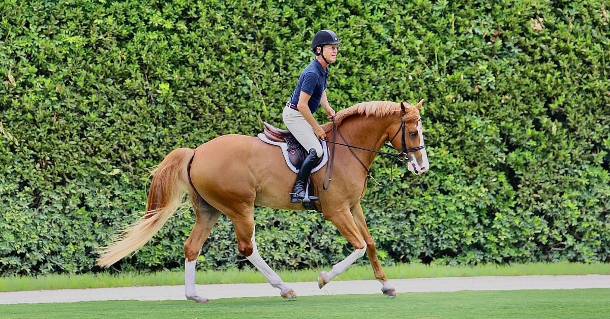 a man ride a horse at a canter