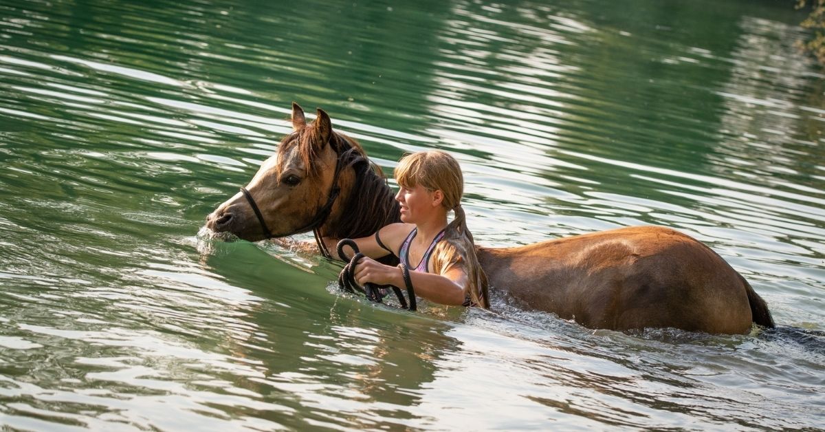 a woman and a horse are swimming