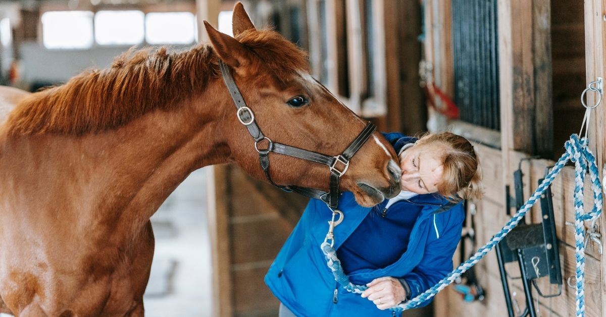 a woman kissing a horse at a stable