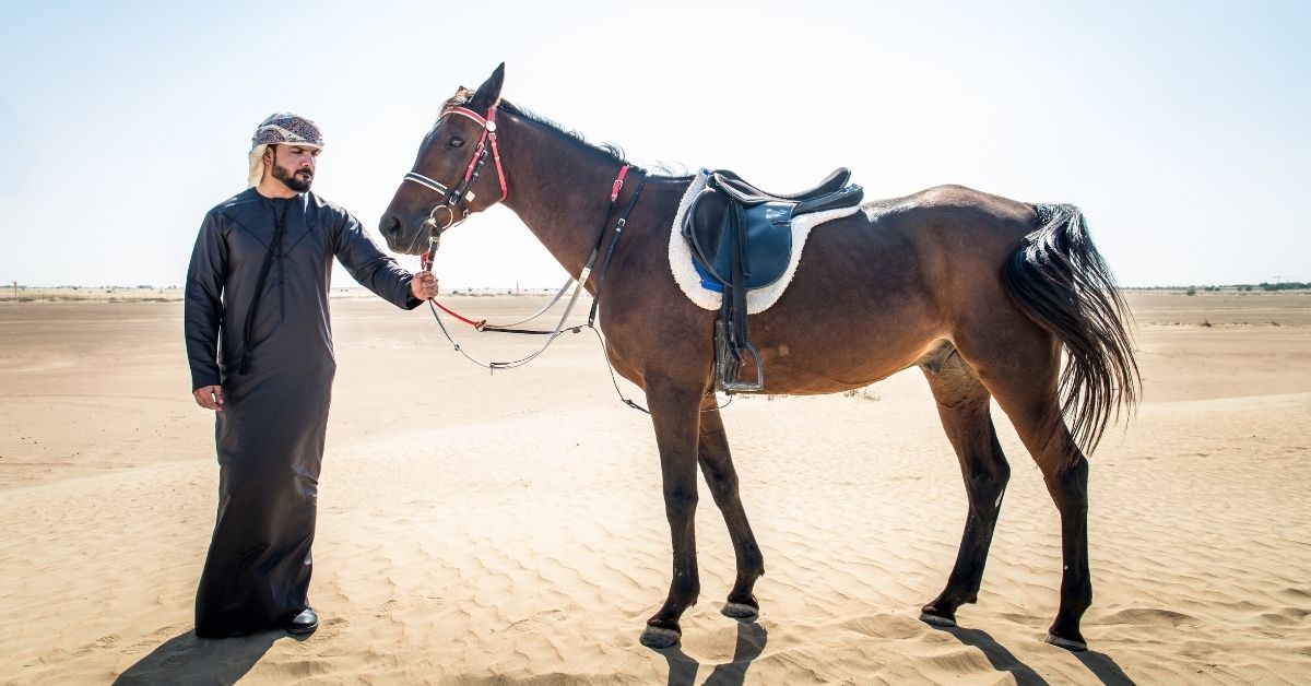 arabian man with horse in the desert