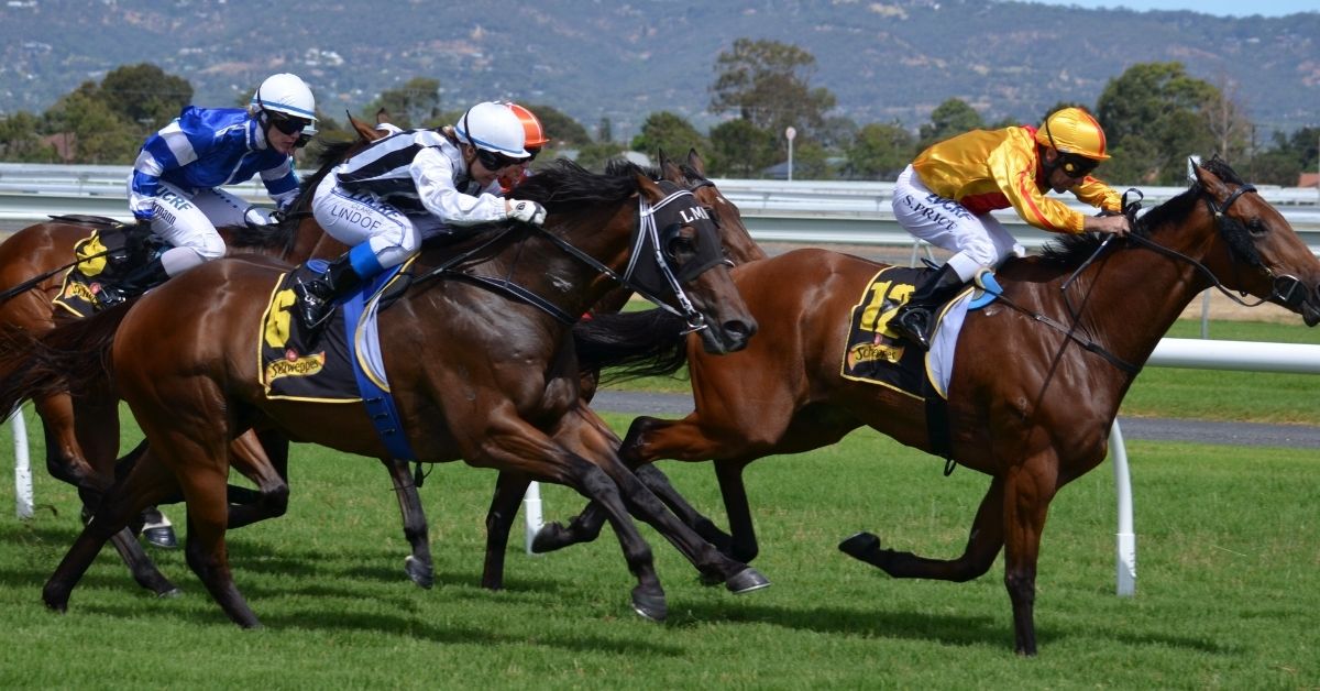 four jockeys are in a horse racing