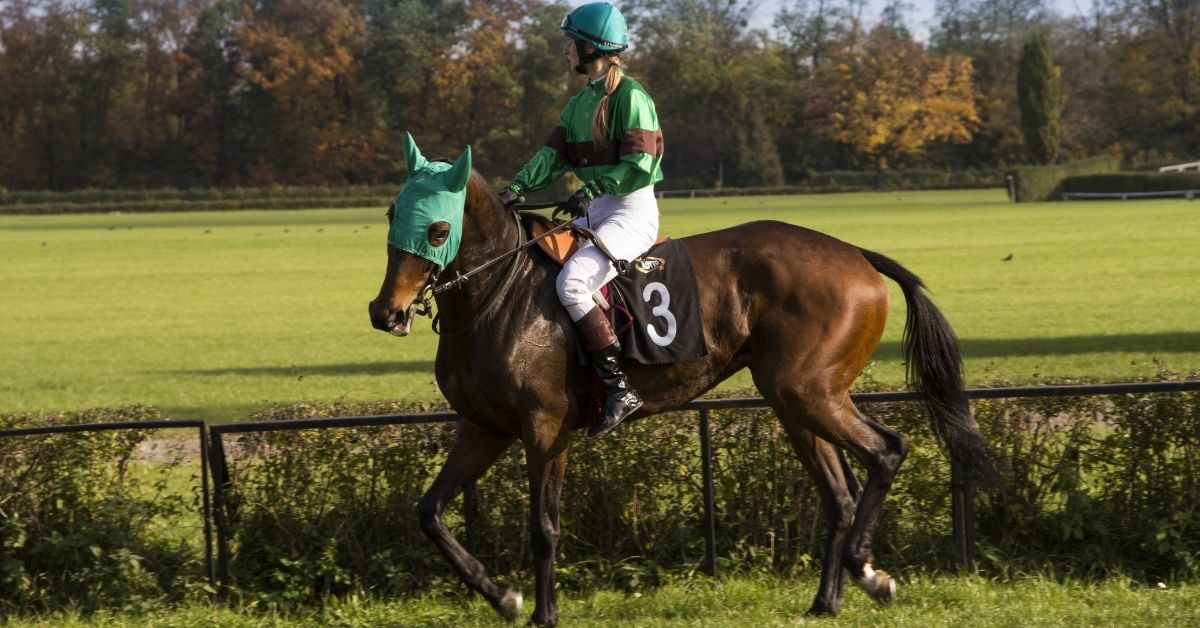 girl riding on horse