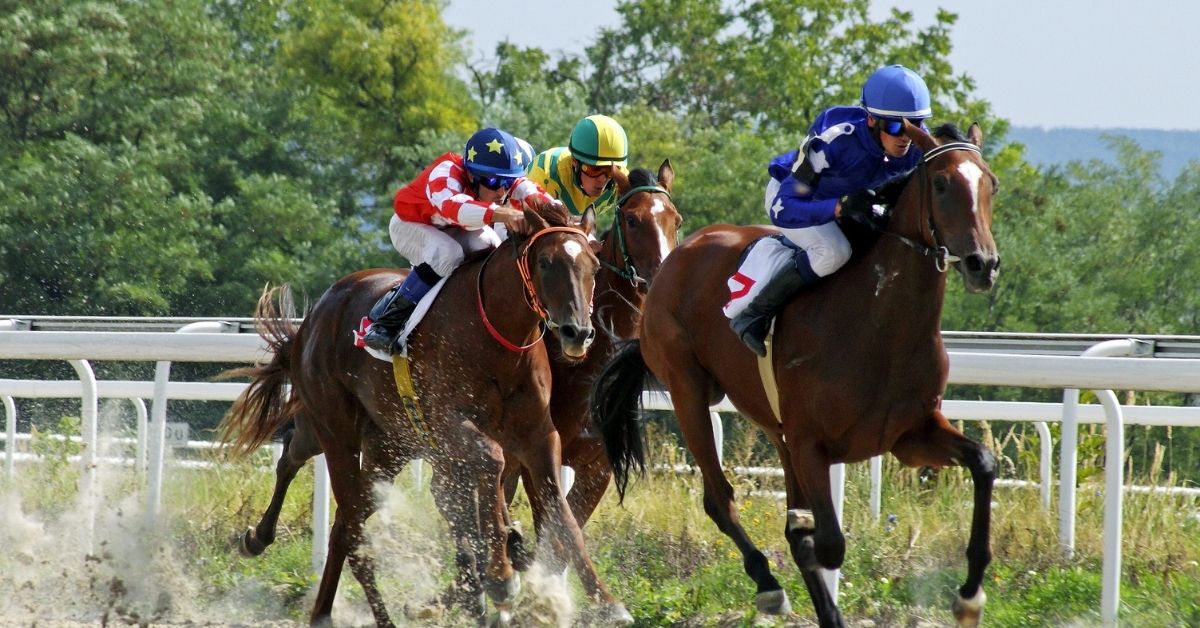 horse racing in pyatigorsk