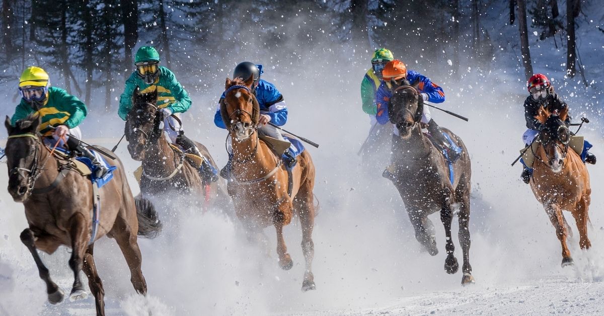 horse racing in winter