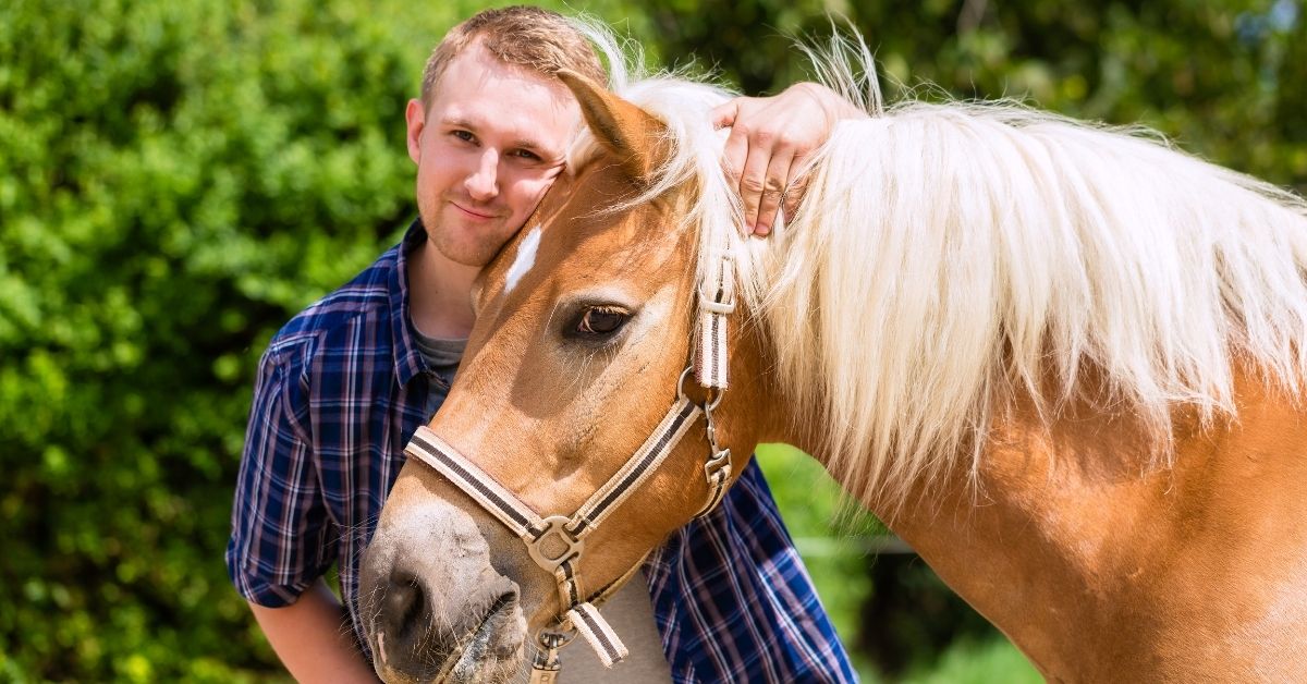 man petting horse on pony farm