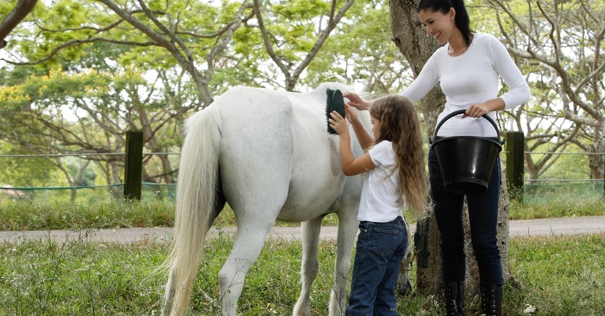 mother and daughter grooming horse