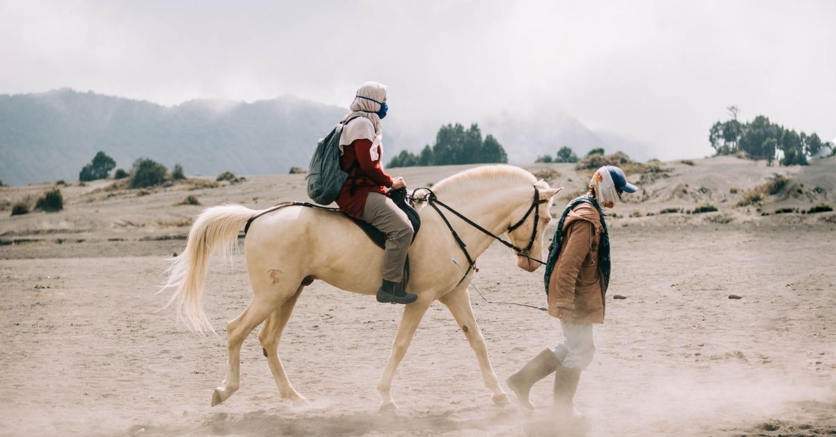 person riding a horse